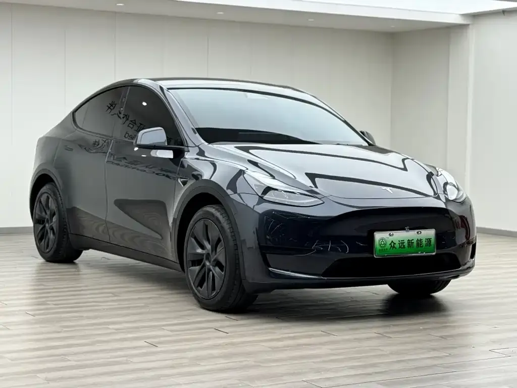 Tesla Model Y 2024 из CN, фото 4