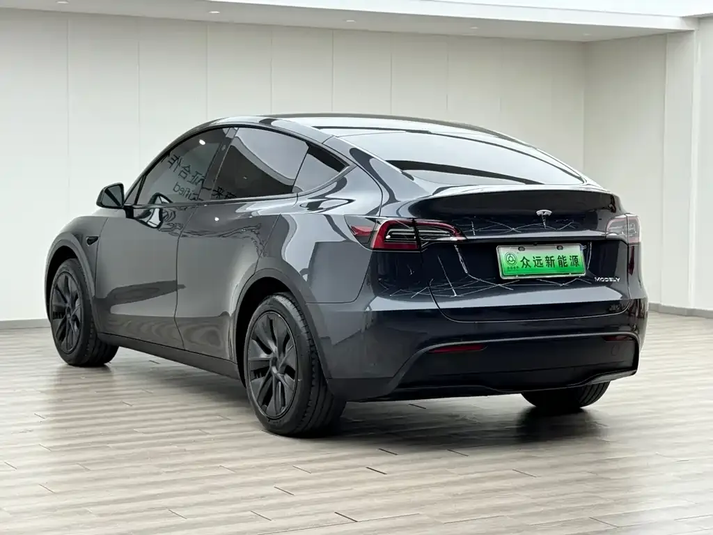 Tesla Model Y 2024 из CN, фото 9