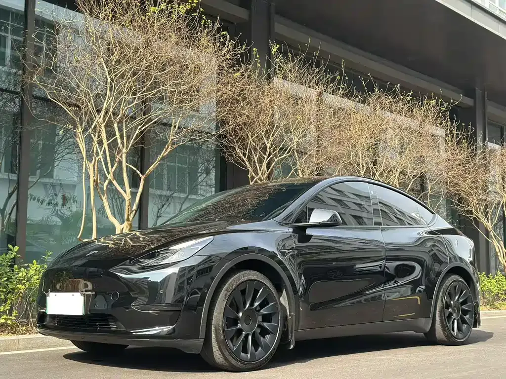 Tesla Model Y 2022 из CN, фото 1