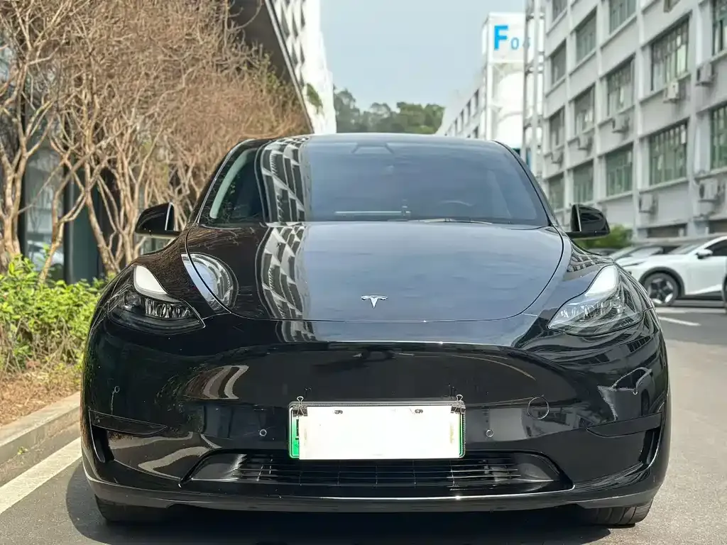 Tesla Model Y 2022 из CN, фото 2