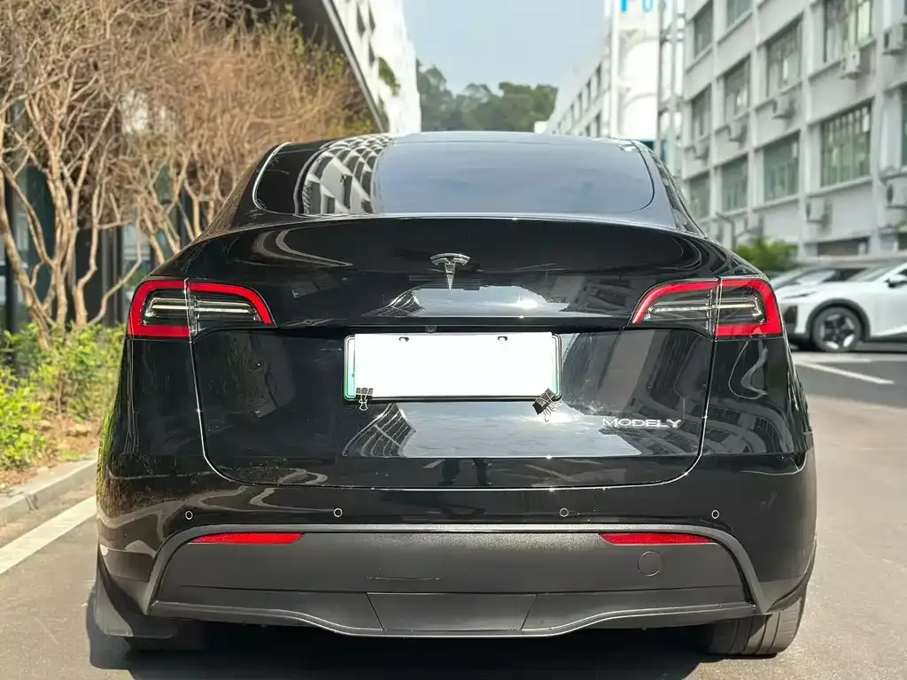 Tesla Model Y 2022 из CN, фото 9