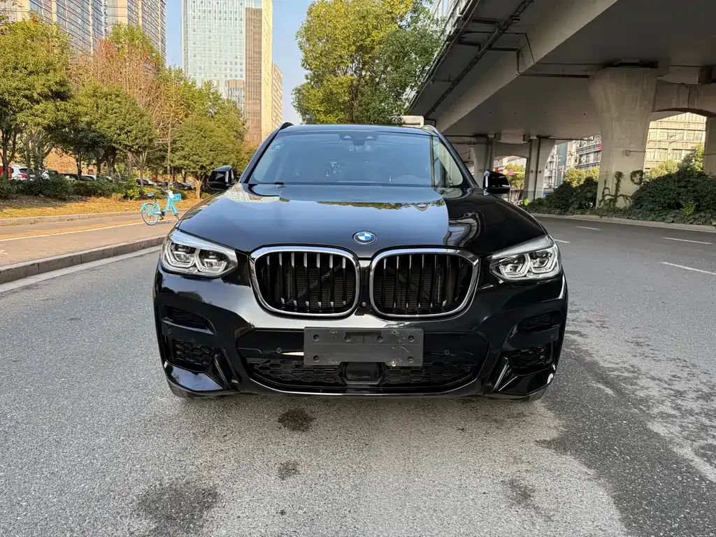 BMW X3 2021 из CN, фото 10