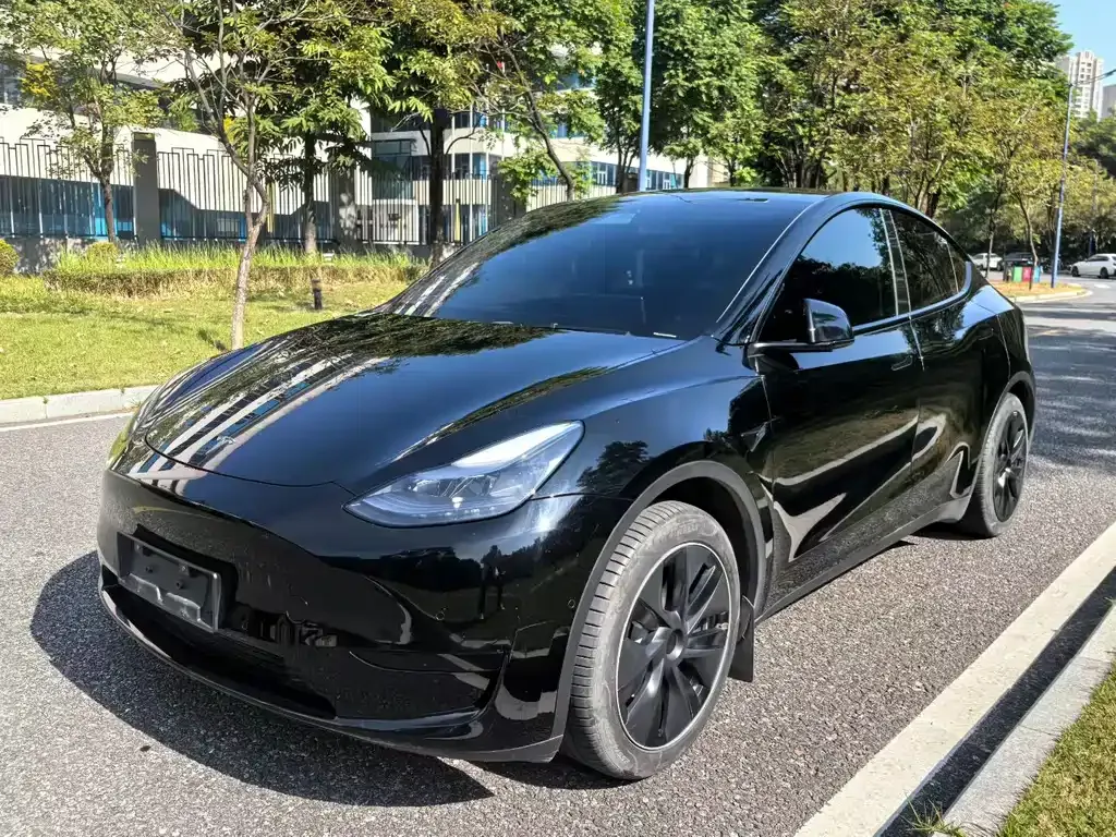 Tesla Model Y 2023 из CN, фото 1