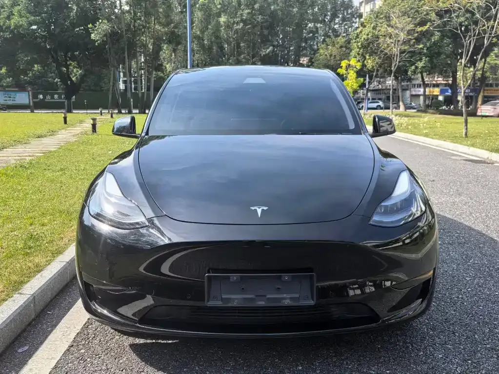 Tesla Model Y 2023 из CN, фото 2