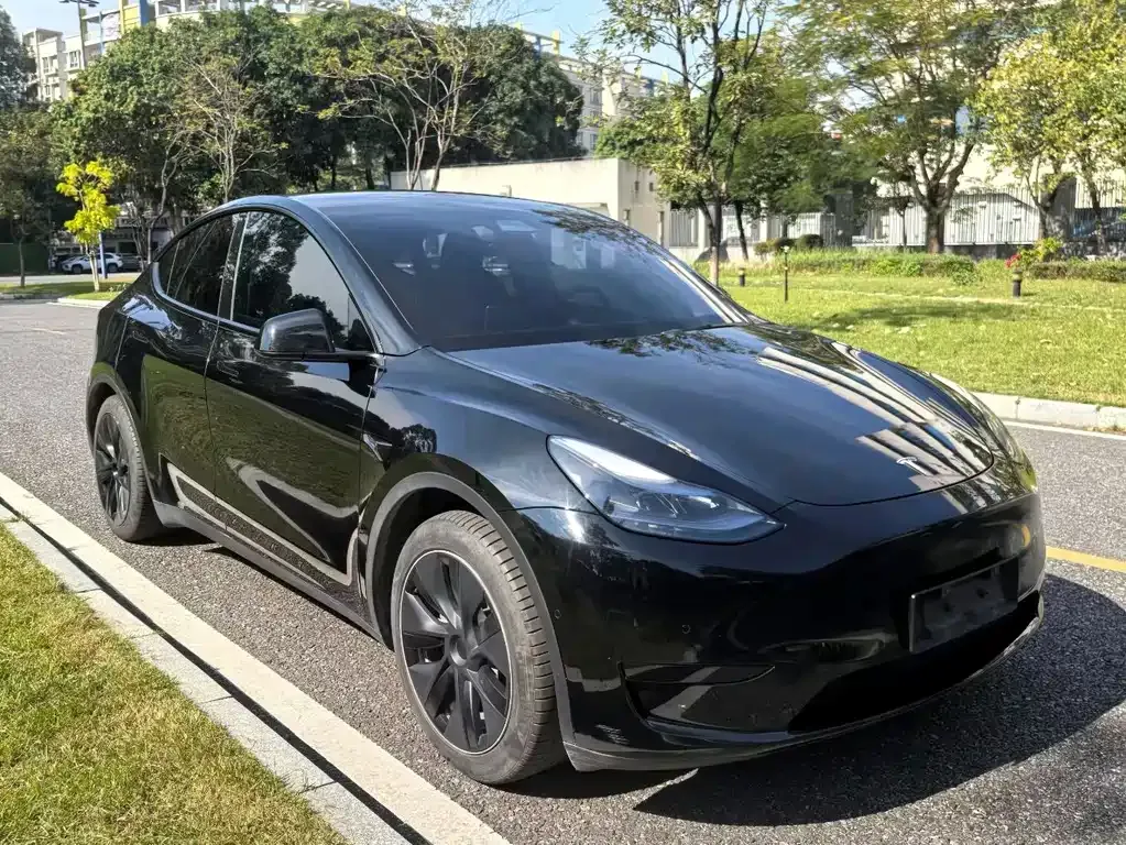 Tesla Model Y 2023 из CN, фото 3