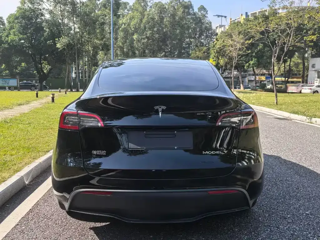 Tesla Model Y 2023 из CN, фото 5