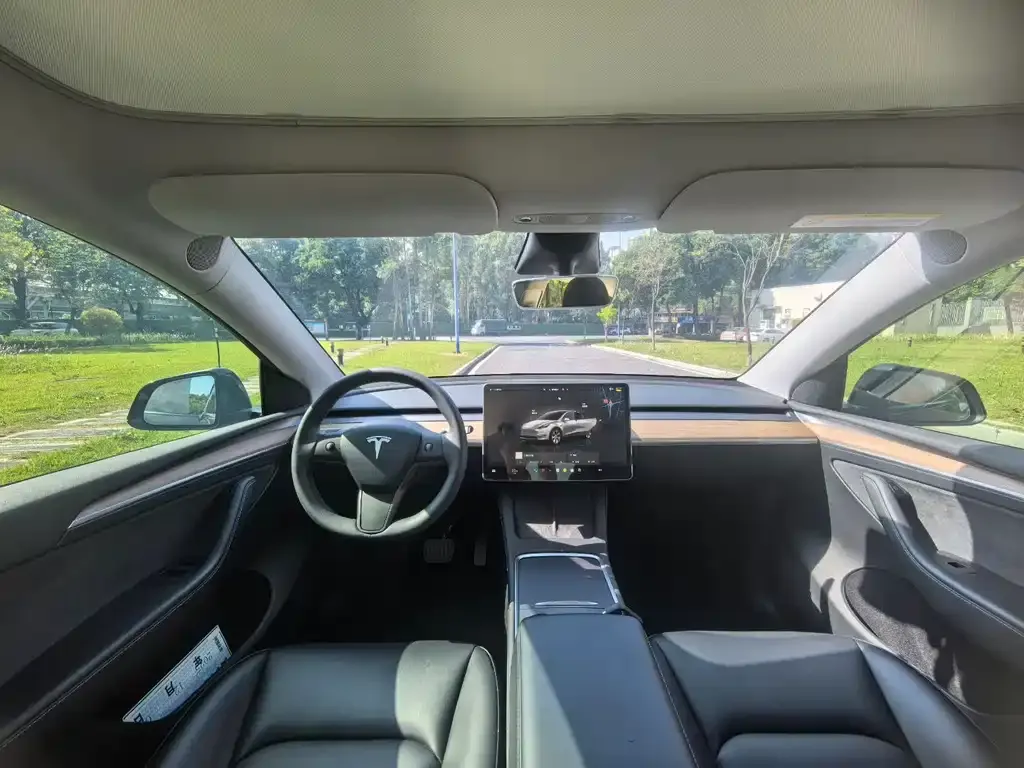 Tesla Model Y 2023 из CN, фото 6