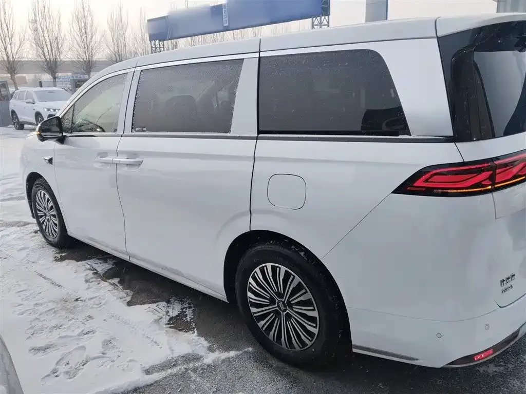 BYD Xia 2025 из CN, фото 3