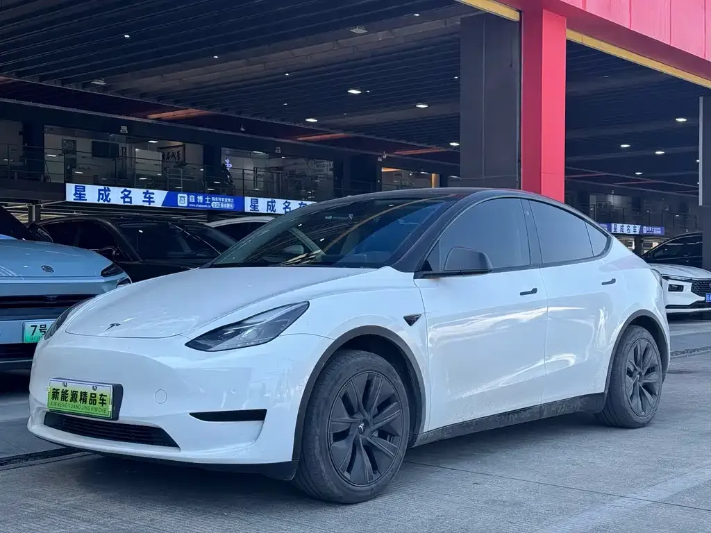 Tesla Model Y 2023 из CN, фото 1