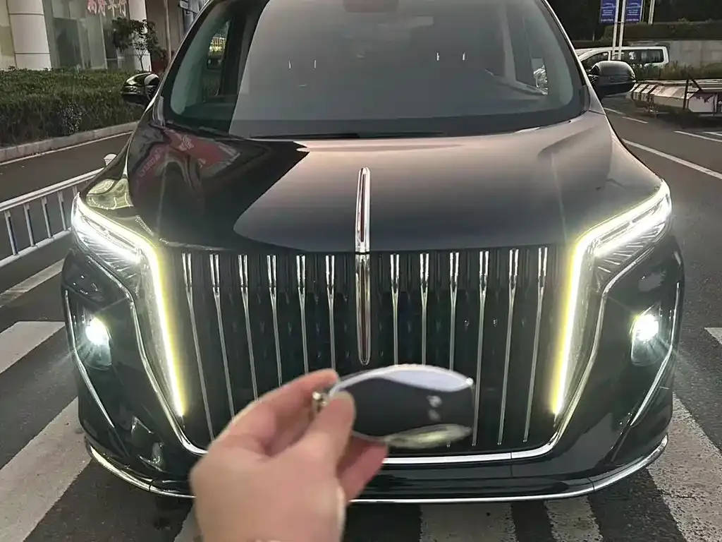 Hongqi HQ9 2023 из CN, фото 8