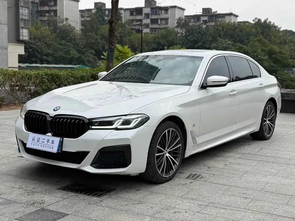 BMW 5 Series 2021 из CN, фото 1