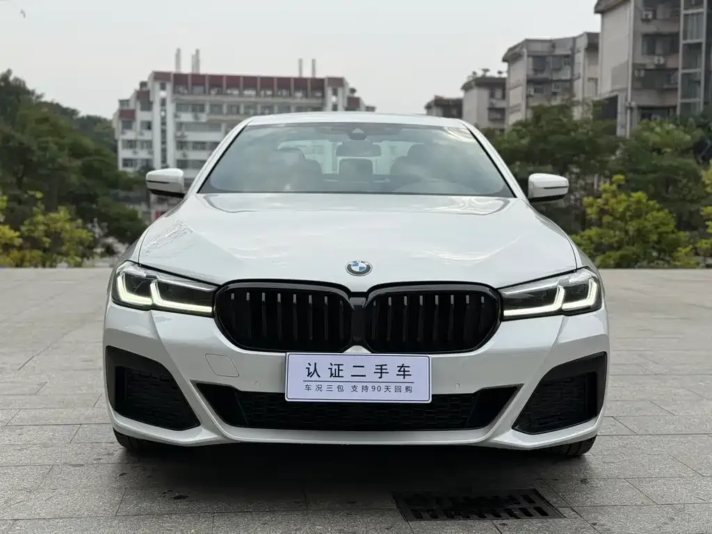 BMW 5 Series 2021 из CN, фото 3