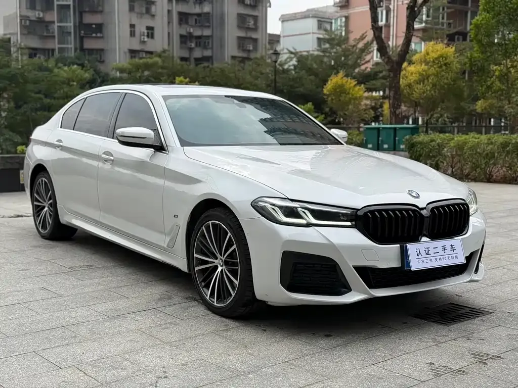 BMW 5 Series 2021 из CN, фото 10