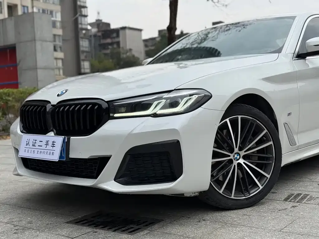 BMW 5 Series 2021 из CN, фото 2