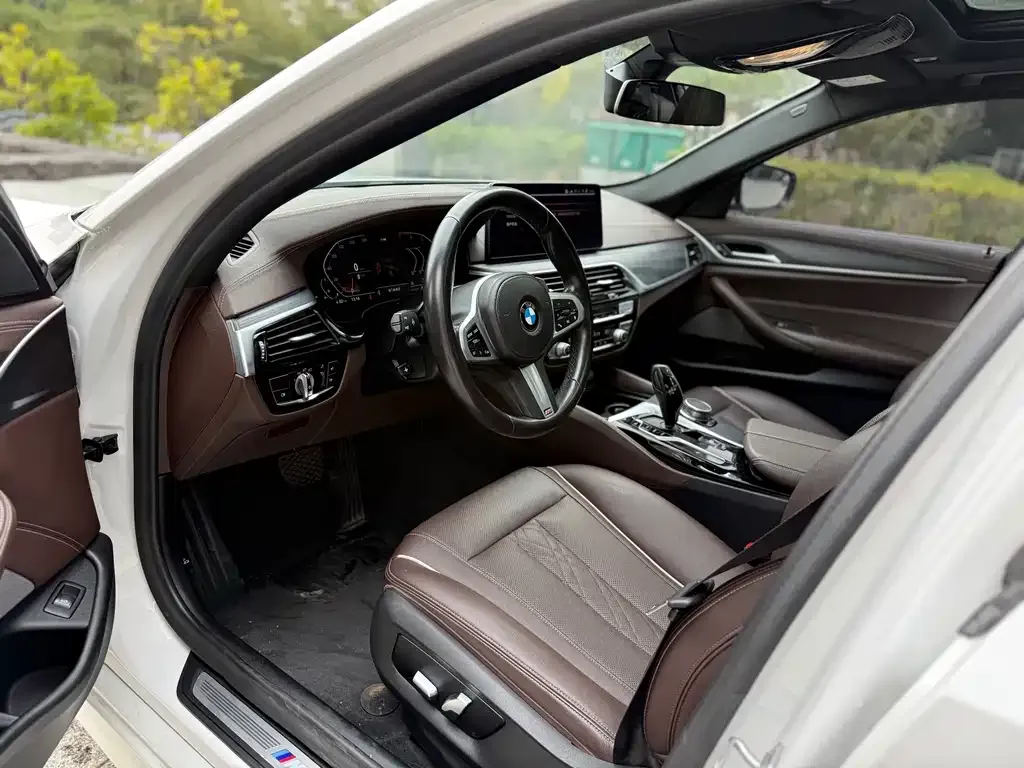 BMW 5 Series 2021 из CN, фото 8