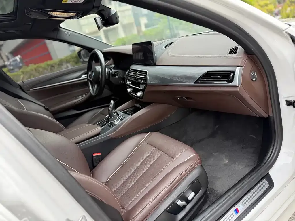 BMW 5 Series 2021 из CN, фото 9