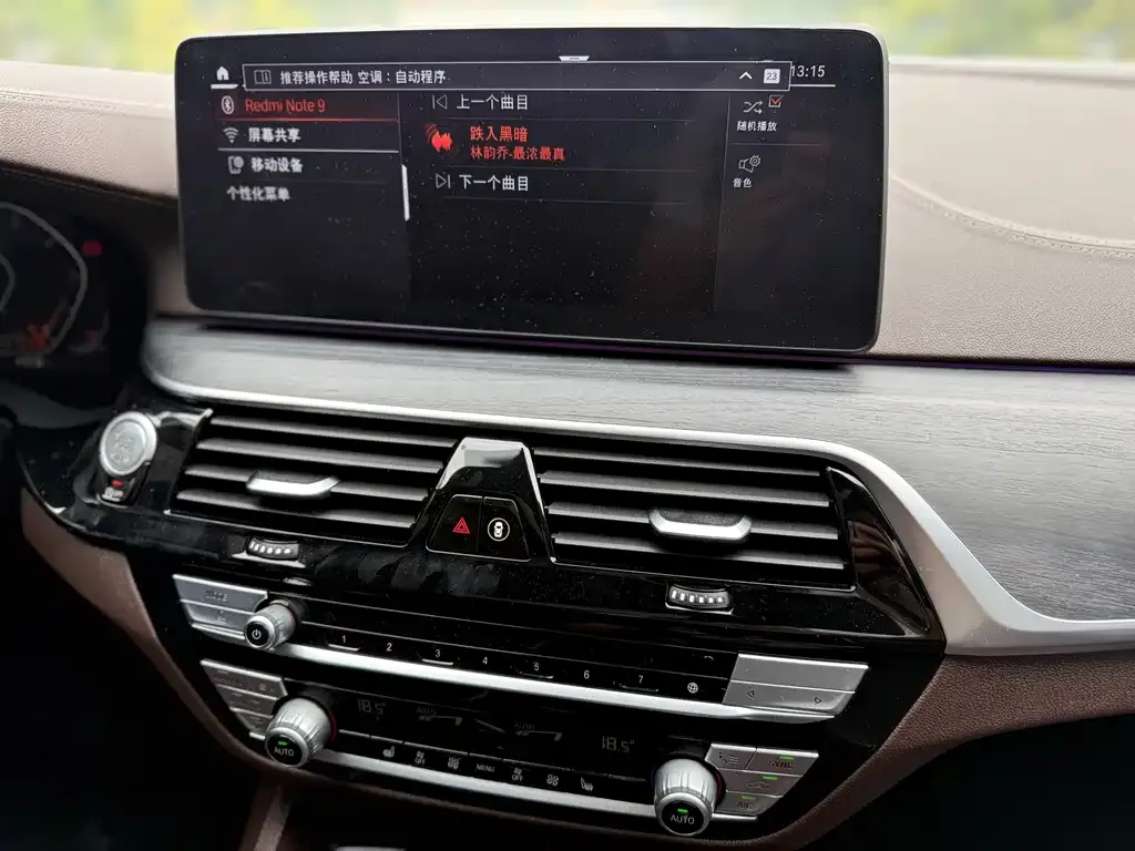 BMW 5 Series 2021 из CN, фото 4