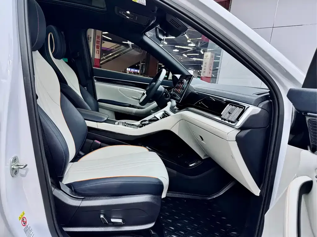 BYD PLUS New Energy 2022 из CN, фото 10