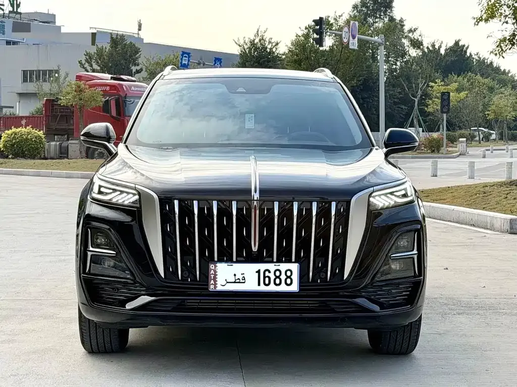 Hongqi HS5 2023 из CN, фото 6