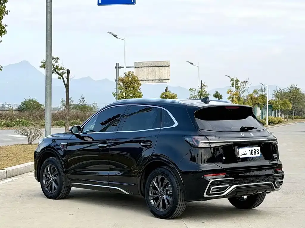 Hongqi HS5 2023 из CN, фото 9