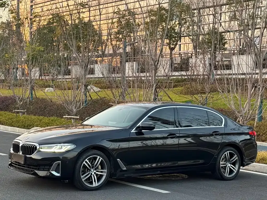 BMW 5 Series 2021 из CN, фото 1