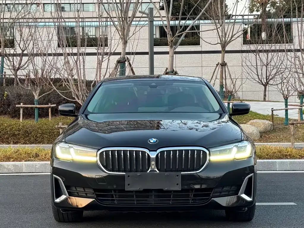 BMW 5 Series 2021 из CN, фото 7
