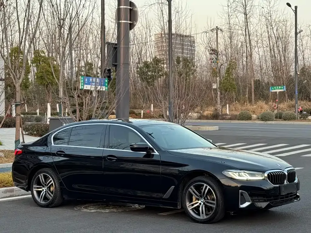 BMW 5 Series 2021 из CN, фото 6