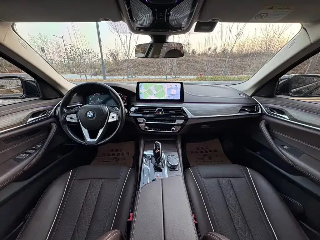 BMW 5 Series 2021 из CN, фото 8