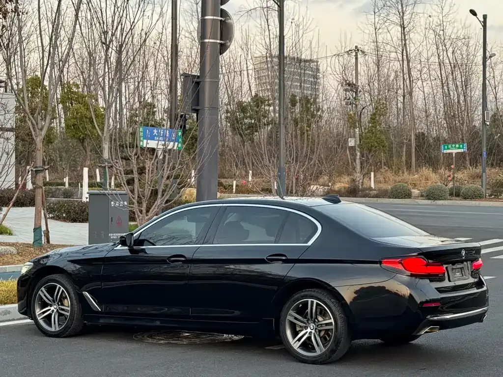 BMW 5 Series 2021 из CN, фото 5
