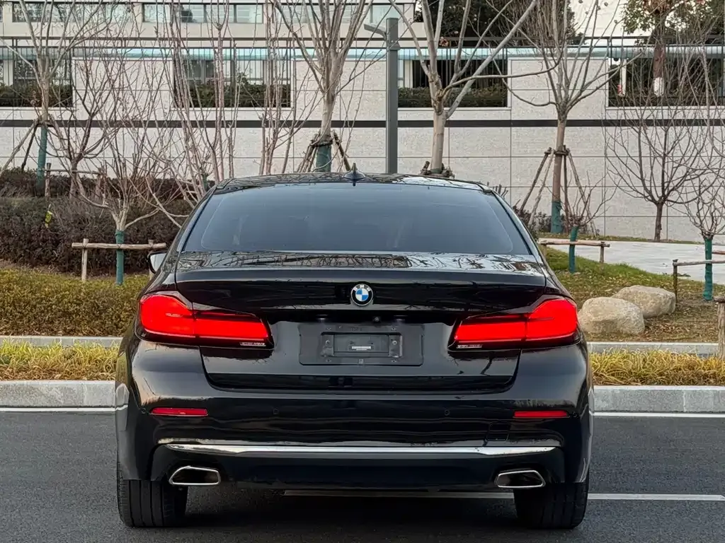 BMW 5 Series 2021 из CN, фото 4