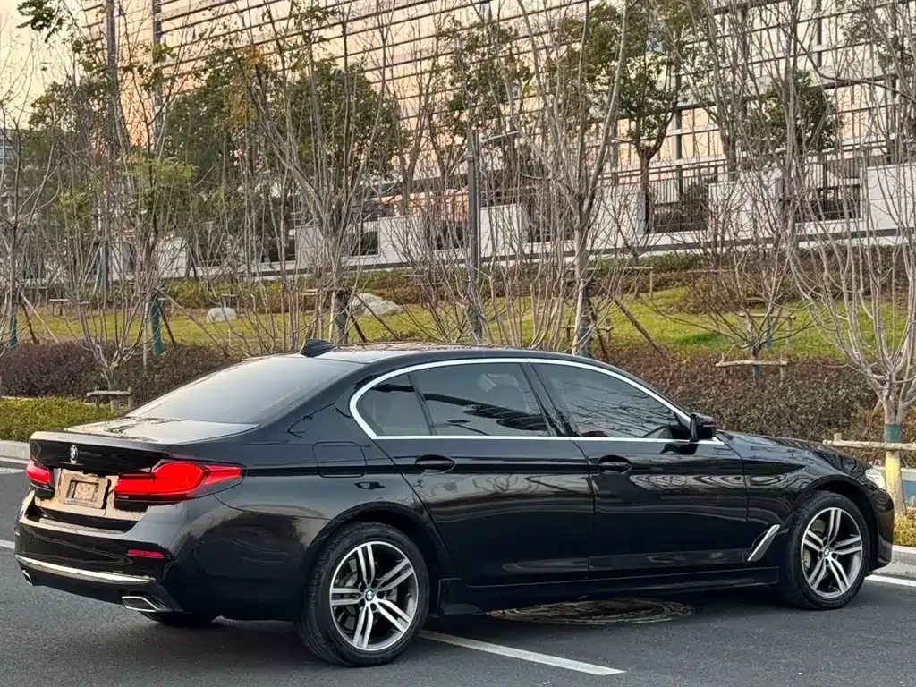 BMW 5 Series 2021 из CN, фото 9