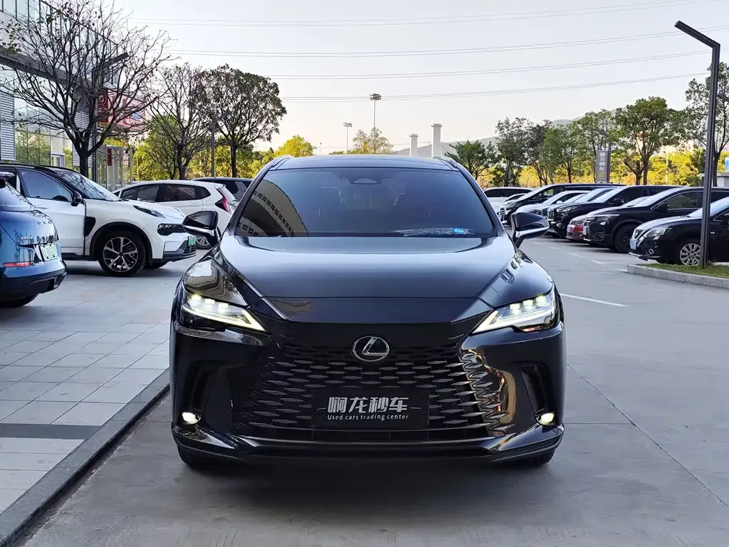 Lexus RX 2024 из CN, фото 8