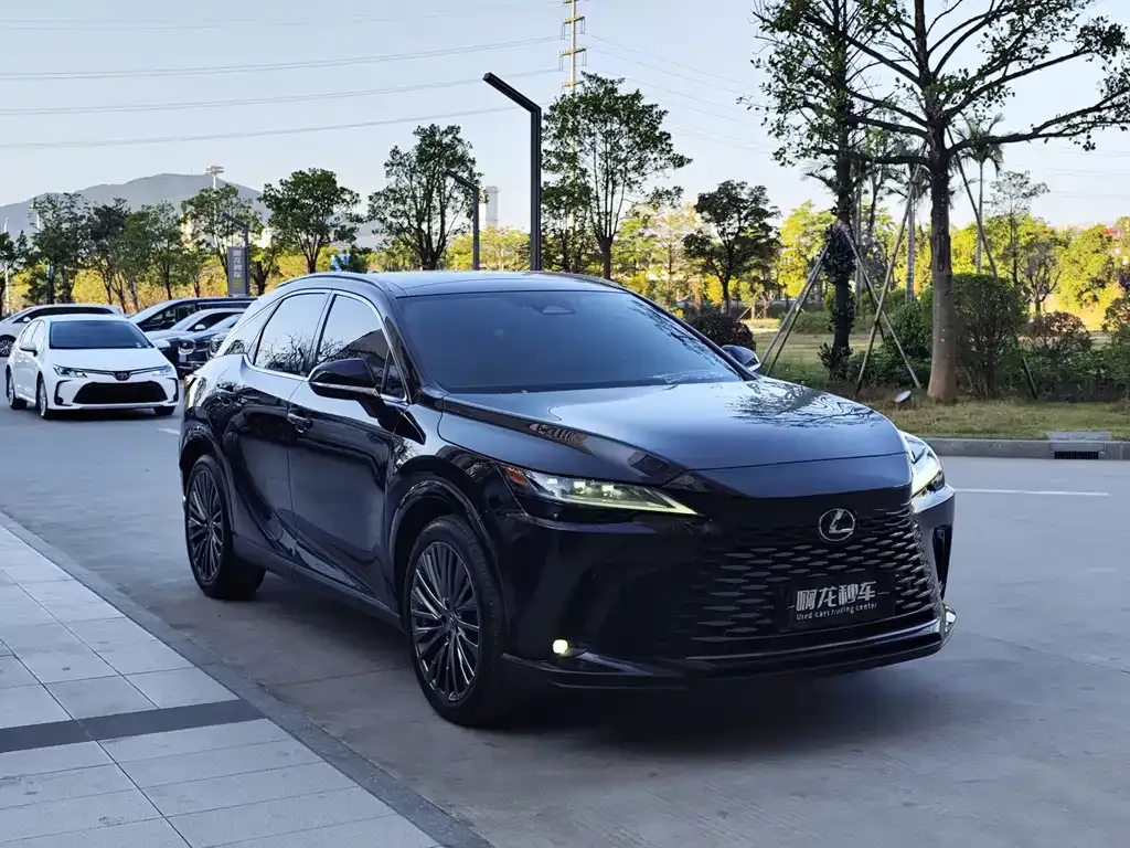 Lexus RX 2024 из CN, фото 9