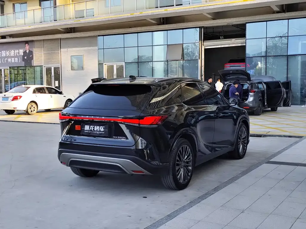 Lexus RX 2024 из CN, фото 6