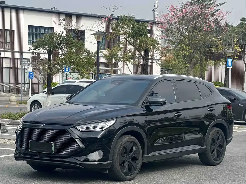 BYD PLUS New Energy 2022 из CN, фото 1