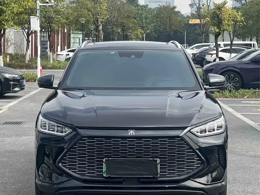 BYD PLUS New Energy 2022 из CN, фото 4