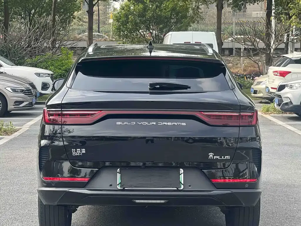 BYD PLUS New Energy 2022 из CN, фото 8