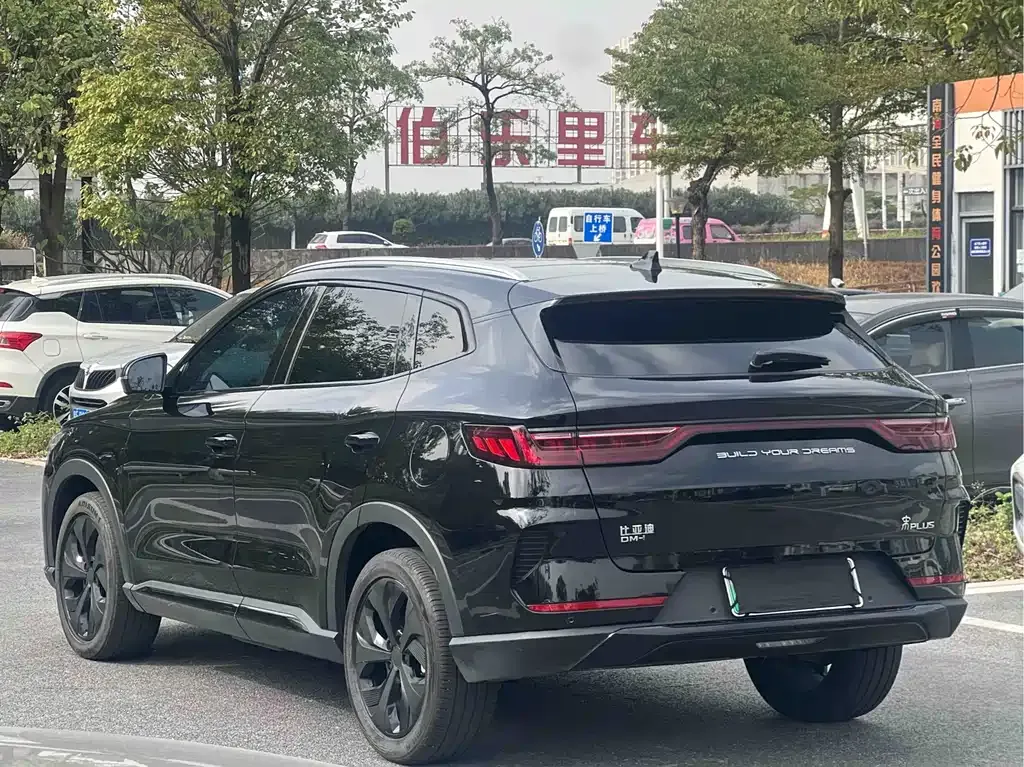 BYD PLUS New Energy 2022 из CN, фото 10