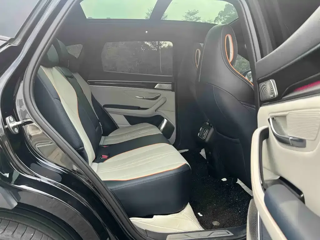 BYD PLUS New Energy 2022 из CN, фото 5