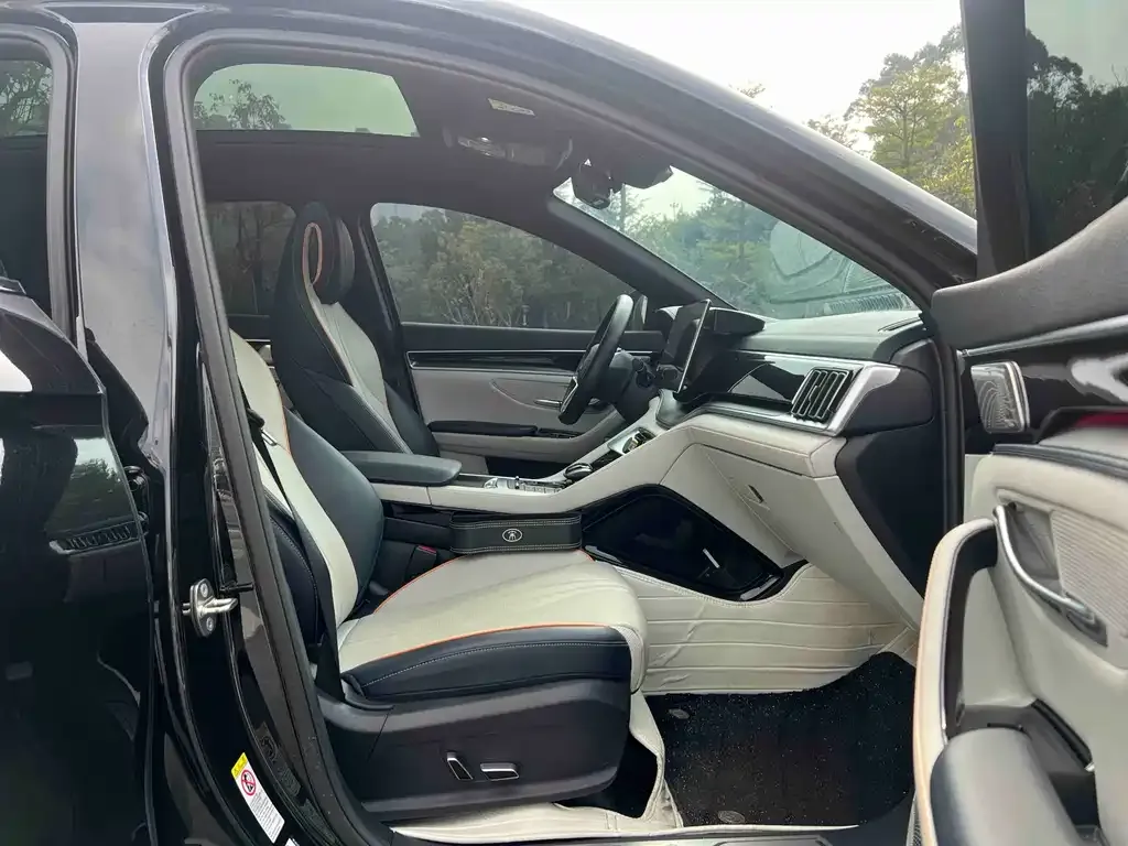 BYD PLUS New Energy 2022 из CN, фото 3
