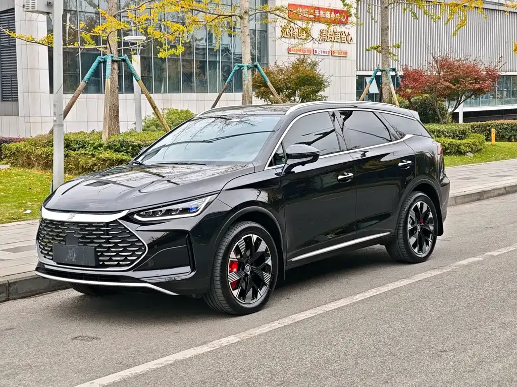 BYD Tang New Energy 2024 из CN, фото 1