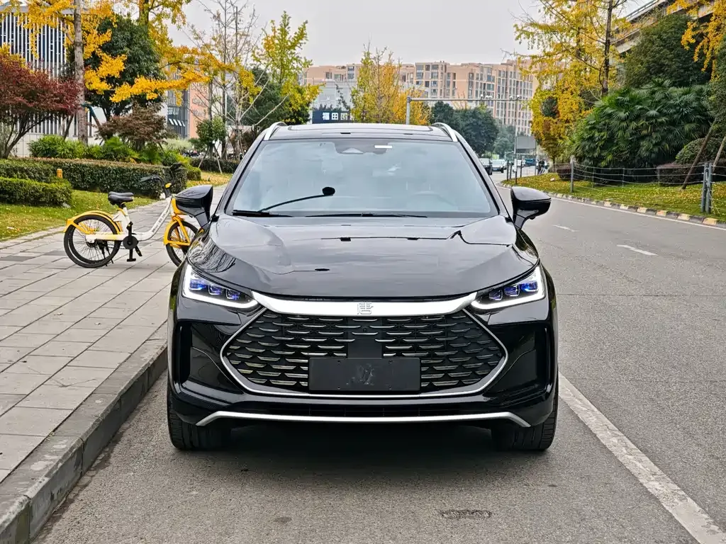BYD Tang New Energy 2024 из CN, фото 6