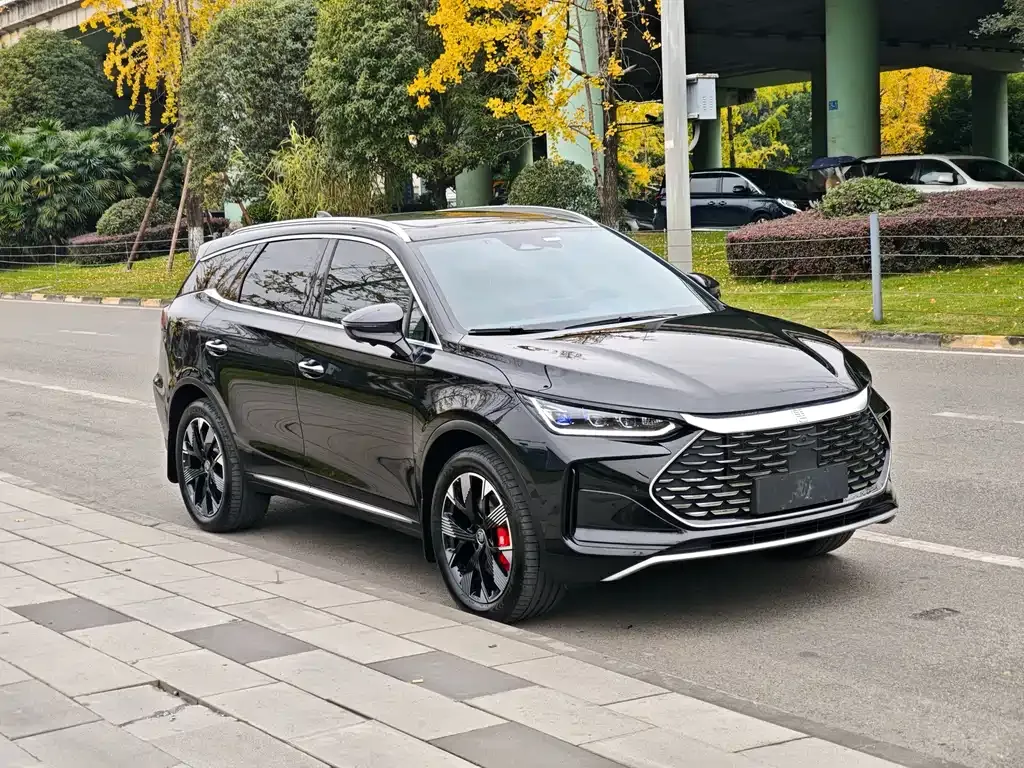 BYD Tang New Energy 2024 из CN, фото 9