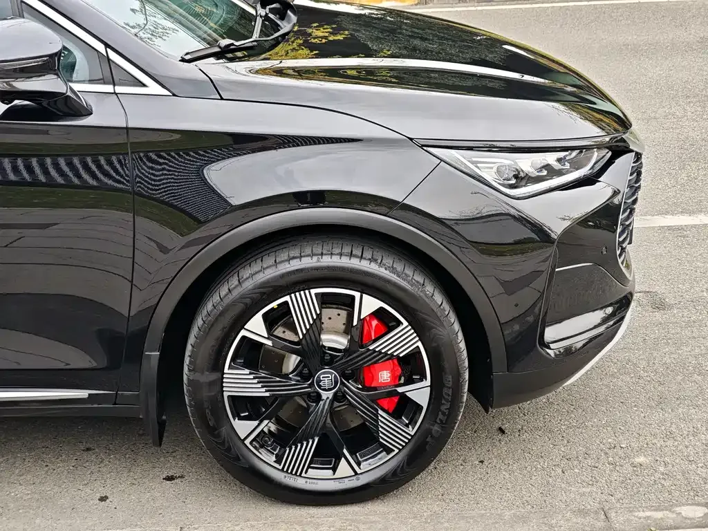 BYD Tang New Energy 2024 из CN, фото 7