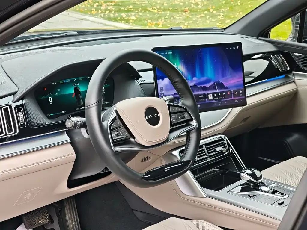 BYD Tang New Energy 2024 из CN, фото 2