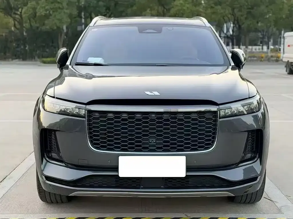 Li Auto ONE 2021 из CN, фото 7