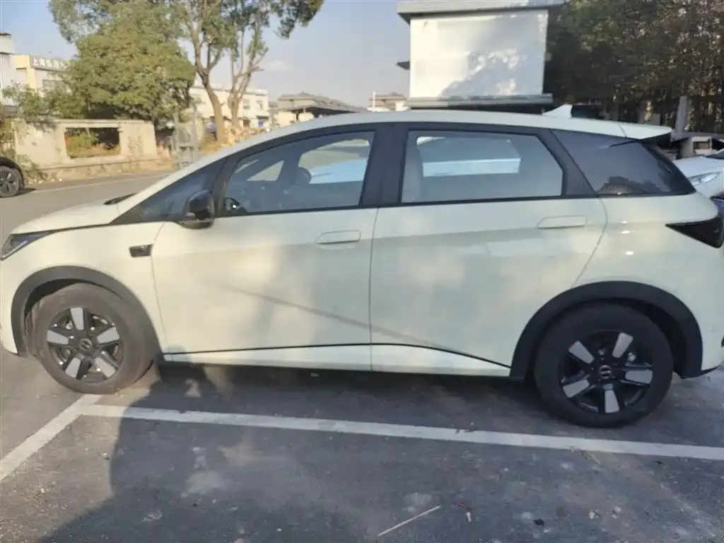 BYD Dolphin 2025 из CN, фото 3