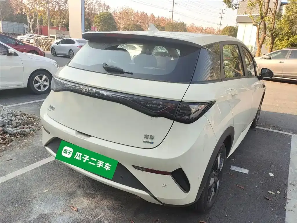BYD Dolphin 2025 из CN, фото 10