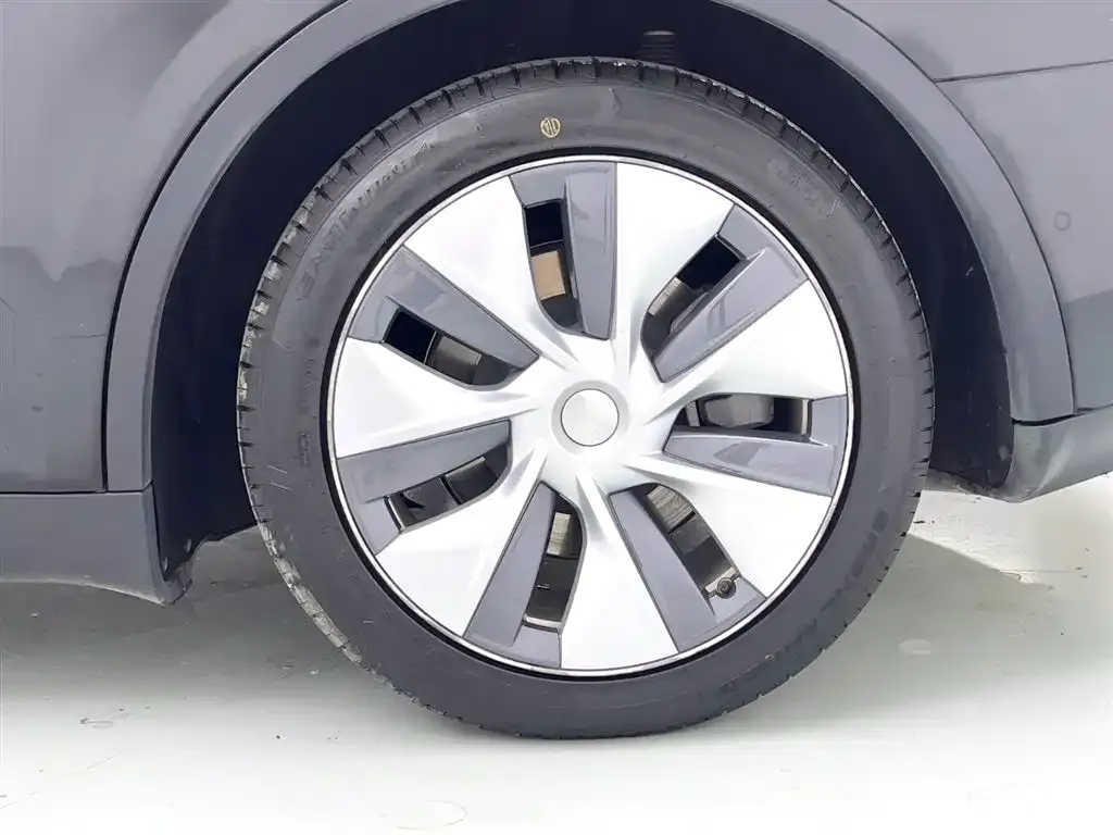 Tesla Model Y 2023 из CN, фото 9