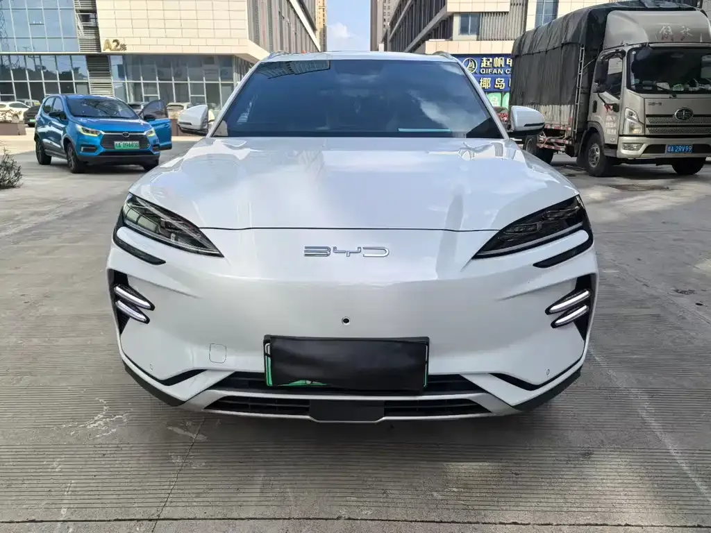 BYD PLUS New Energy 2024 из CN, фото 2